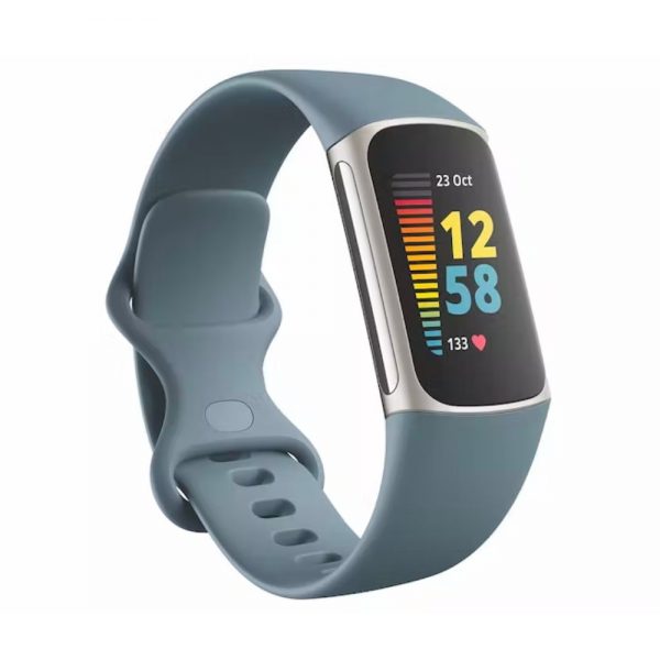 Fitbit Charge 5 Gray/Blue